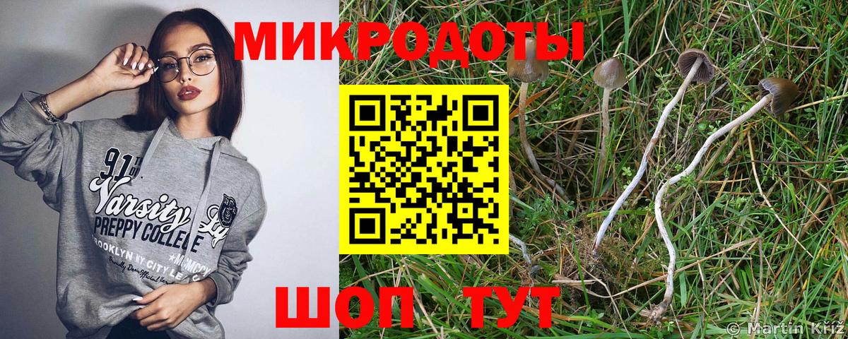 Москва  Галлюциногенные грибы Cubensis  Вход с VPN 
